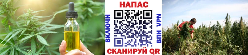 Купить закладки  Солнечногорск  Cannafood конопля 