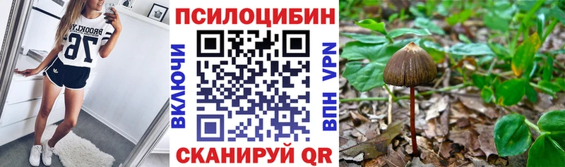 Псилоцибиновые грибы MAGIC MUSHROOMS  Купить закладки  Солнечногорск 